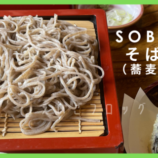 soba-320x320.png