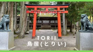 鈴木理策　TORII 鳥居 torii_02_1024x.jpg?v=1633569054