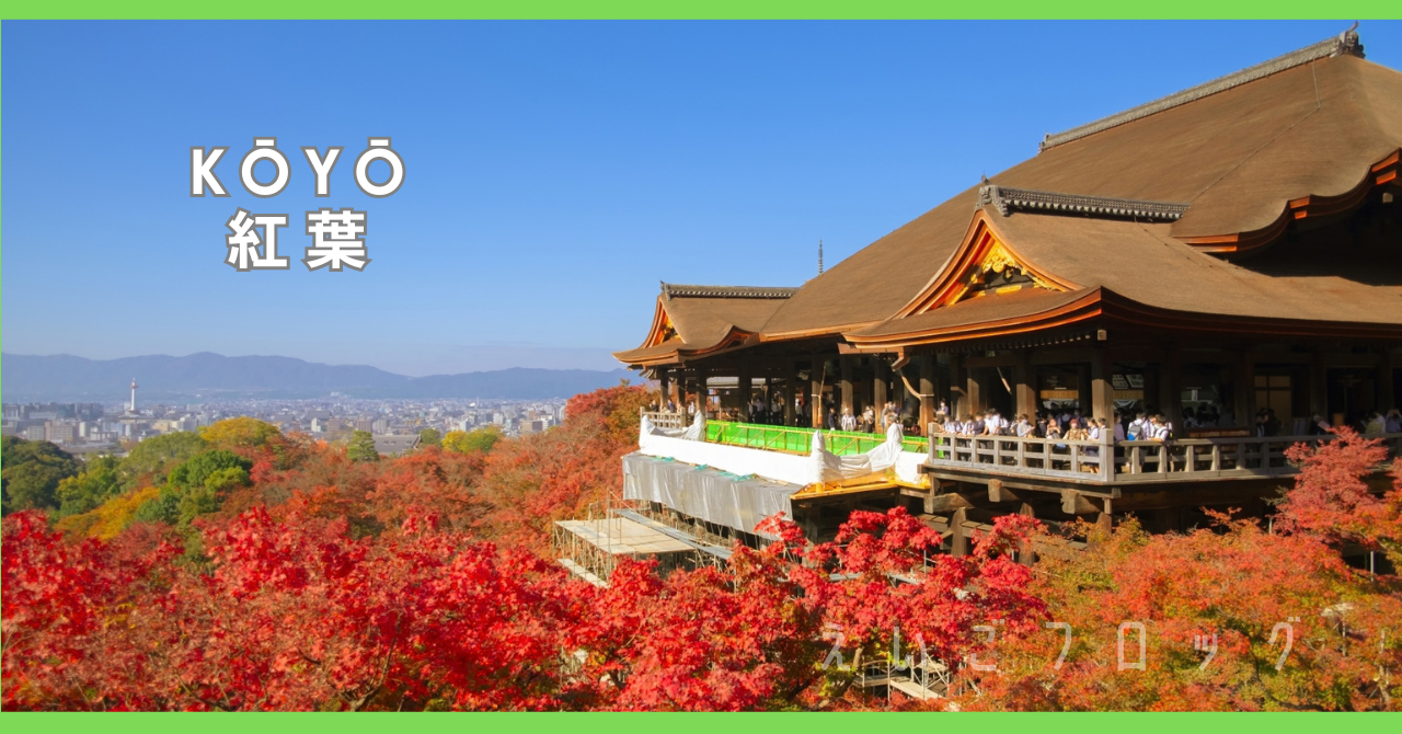 紅葉 koyo